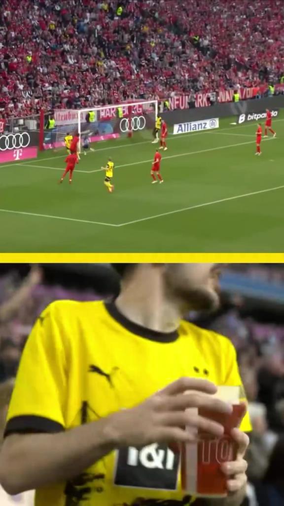 勇者無懼！這是真多特球迷！在拜仁球迷區(qū)一個(gè)人肆意慶祝！